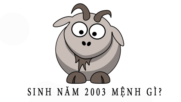 Tử vi tuổi Quý Mùi sinh năm 2003 tại 12 tháng